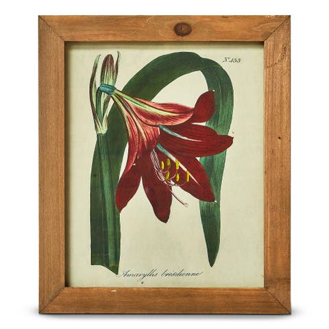 Amaryllis Vintage Wall Art Multicolor Decorative Home Accent