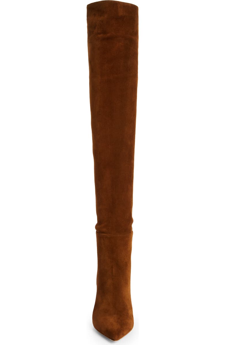 Gianvito Rossi Piper Pointed Toe Over the Knee Boot, Alternate, color,