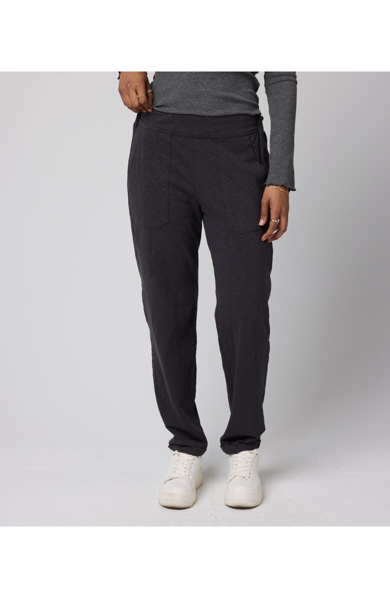 Known Supply Nolan Pant, Main, color, Washed Black