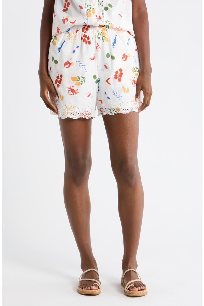 Embroidered Cotton Shorts, Main, color, SUGAR SWIZZLE CONVERSATIONAL