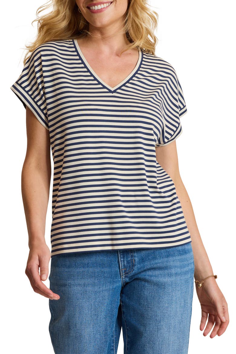Kauai Stripe V-Neck T-Shirt, Main, color, COASTLINE