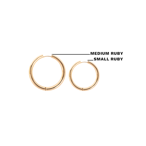 Hey Harper Ruby Earrings In Gold