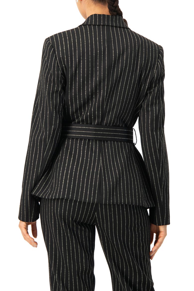 Striped Blazer With Belt, Alternate, color, Black