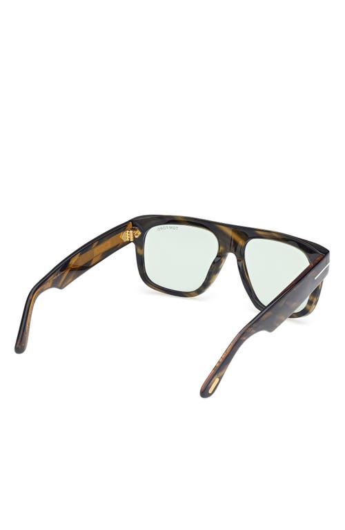 Tom Ford Men's Icon Collection Sunglasses In Brown W Amber/grey/green