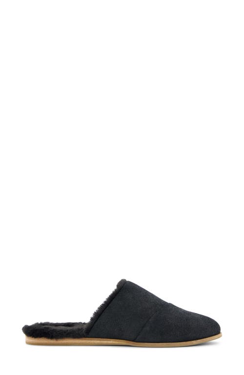 Toms Jade Mule