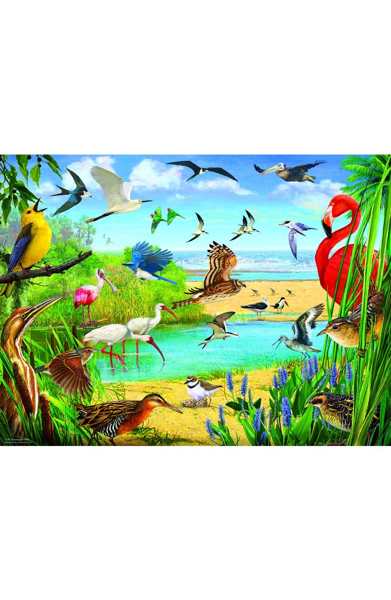 Sunsout Florida Birds 1000 piece Jigsaw Puzzle for Adults, Alternate, color, Multicolor