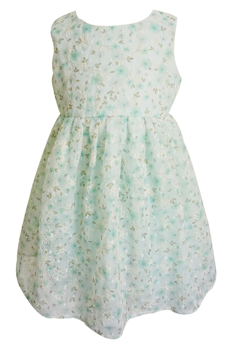 Kids' Floral Embroidered Tulle Overlay Dress, Main, color, MINT