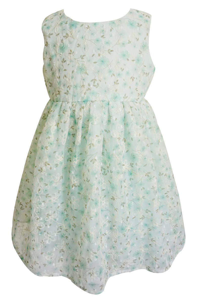 Popatu Kids' Floral Embroidered Tulle Overlay Dress, Main, color, 