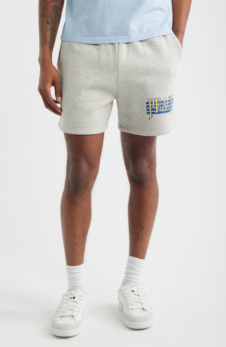 Museum of Peace & Quiet Seventies Graphic Sweat Shorts, Main, color, Ash