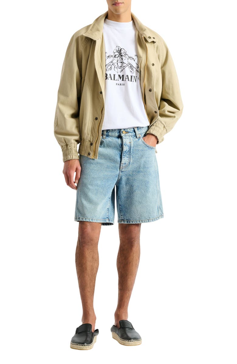 Balmain Printed Balmain Vine T-shirt, Alternate, color, White