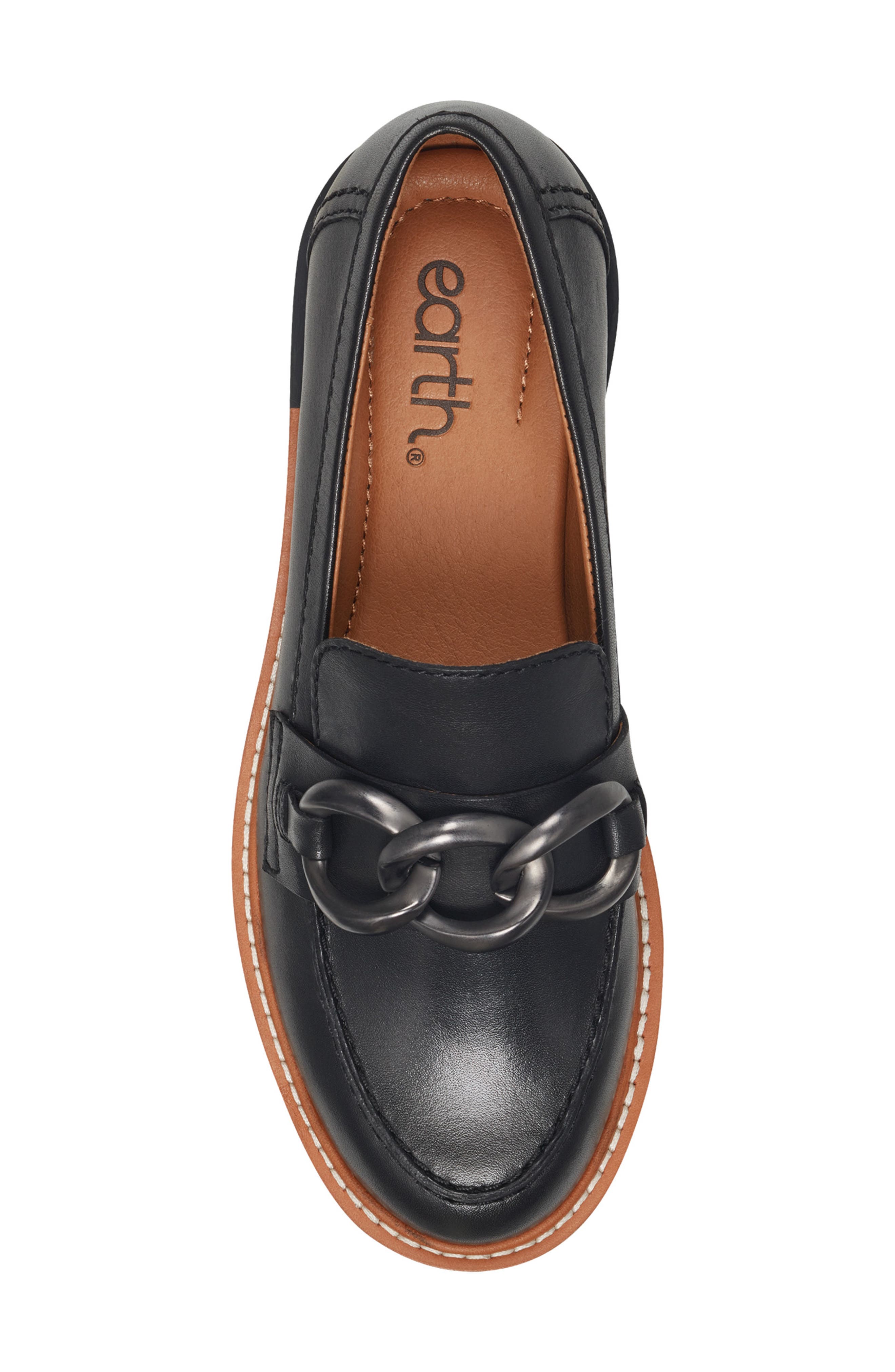 Earth<sup>®</sup> Zalor Moc Toe Loafer, Alternate, color, Black
