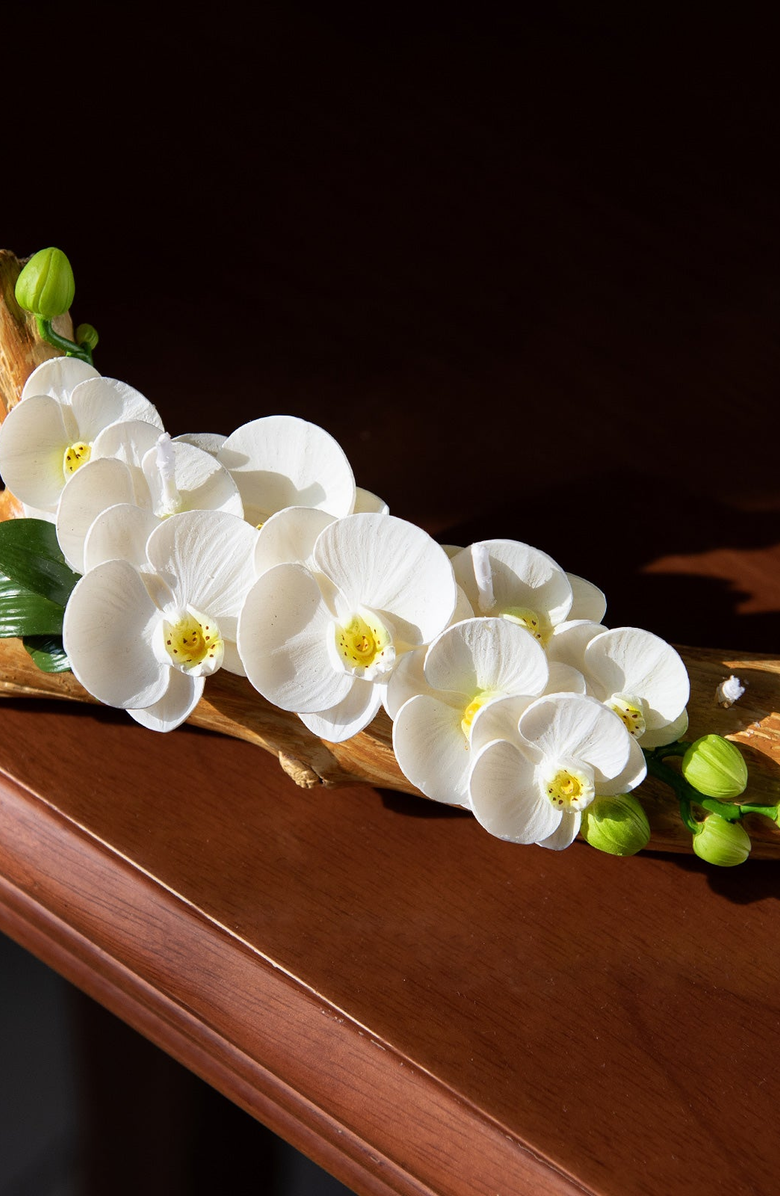 Southlake gifts Orchid Arrangement Candle, Alternate, color, White