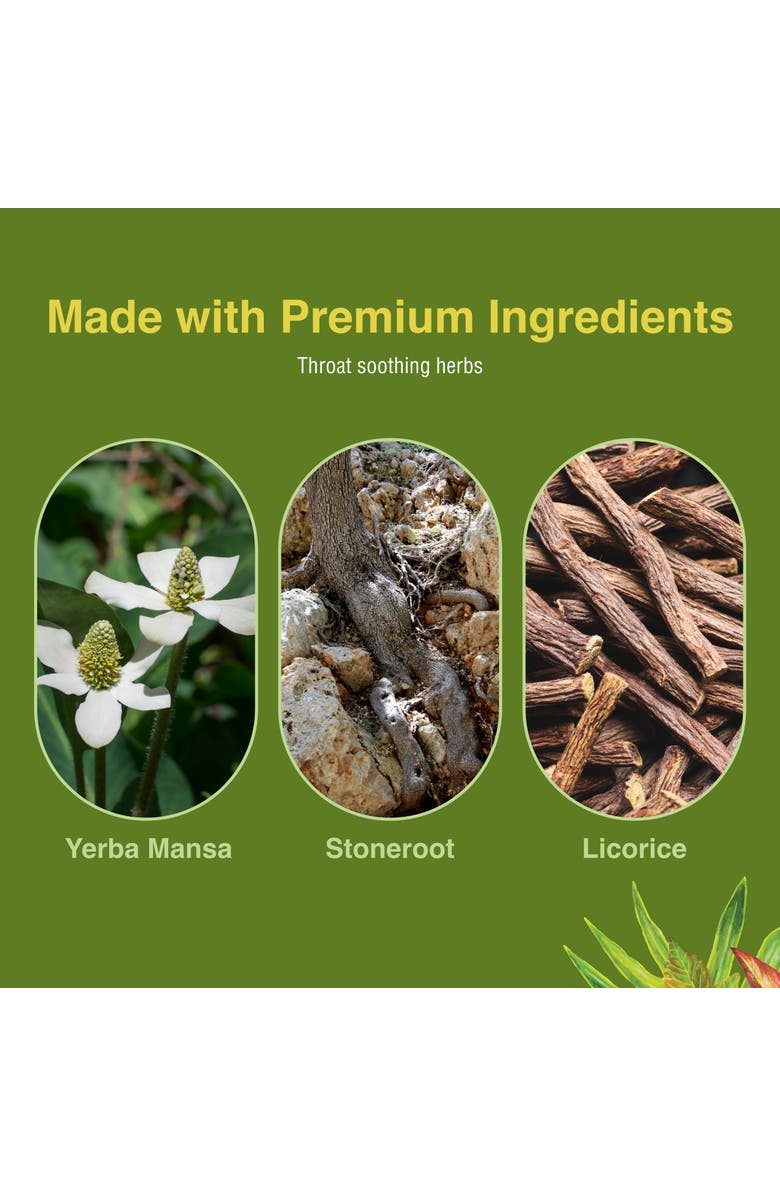 Trace Minerals Singer's Saving Grace Extra Strength - Herbal Remedy Spray Aids Throat Comfort & Health - Soothing Hydrating Throat Support - Throat Relief Spray with Licorice - 1 fl oz, Alternate, color,