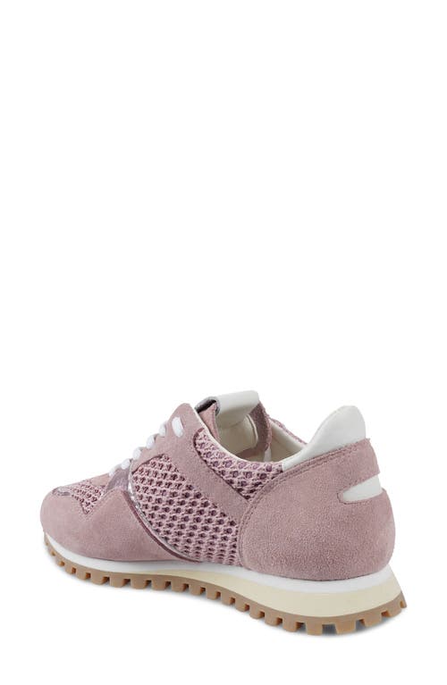 Zigi Porsh Sneaker In Pink