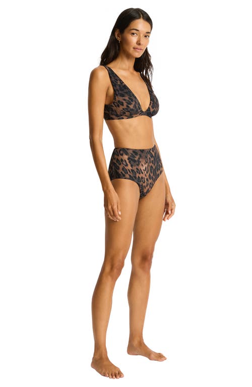 Sea Level Savanna High Waist Bikini Bottoms In Animal Print