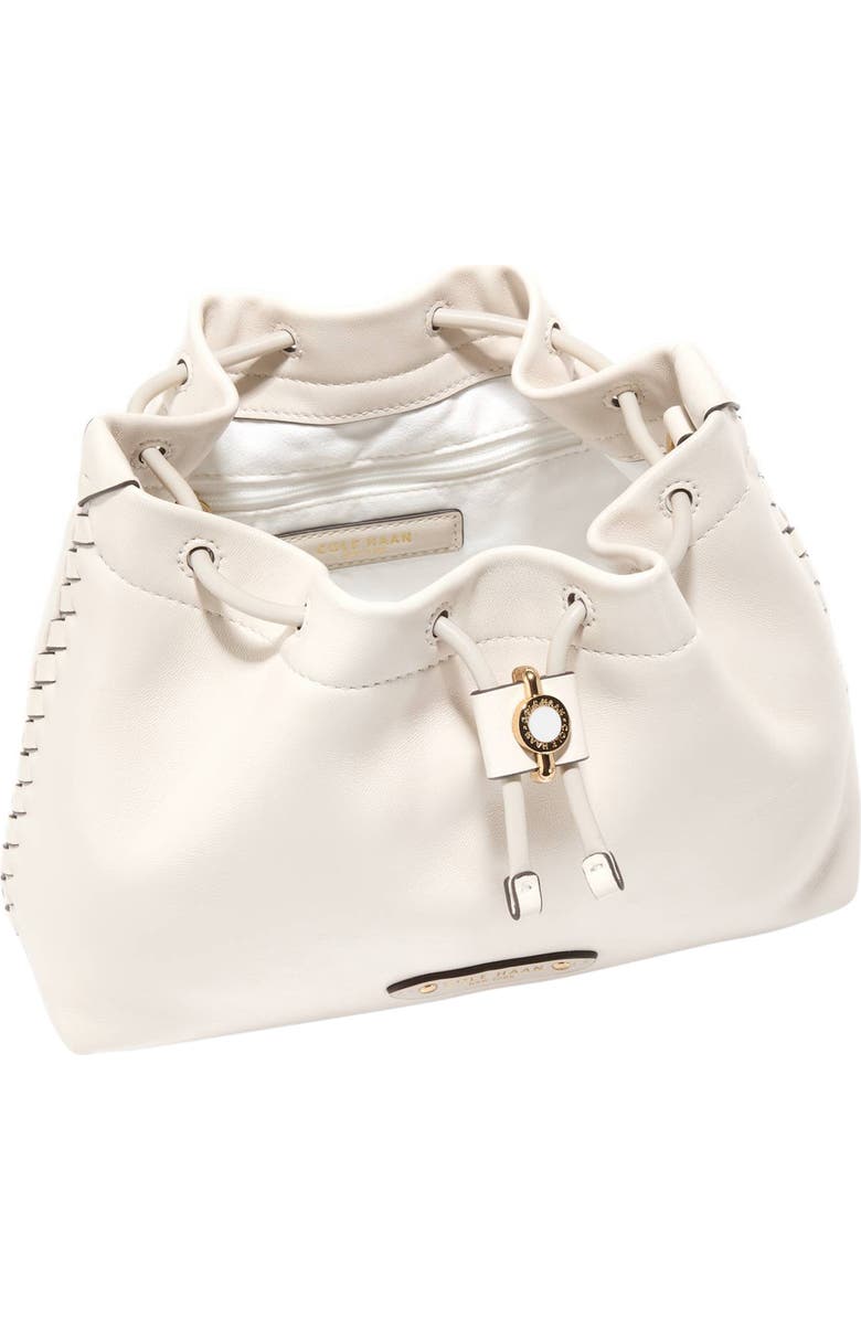 Cole Haan Mini Isabella Leather Crossbody Bag, Alternate, color, Ch Powder