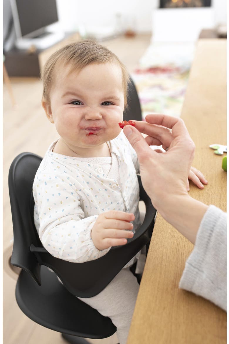 Nomi® High Chair Bundle, Alternate, color, BLACK/ BLACK