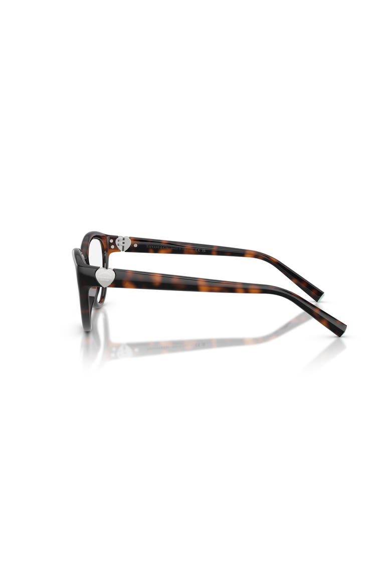 55mm Cat Eye optical glasses, Alternate, color, Tortoise