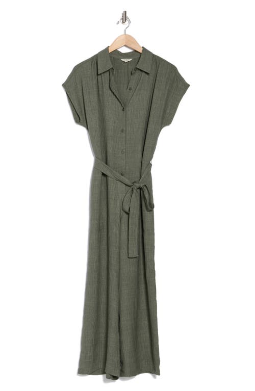 Max Studio Collared Short Sleeve Tie Waist Jumpsuit In Moss