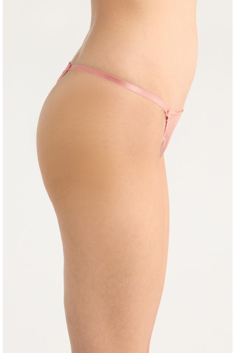 Alice Embroidered Thong, Alternate, color, ROSETTE
