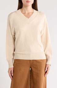 Vigoss V-Neck Sweater