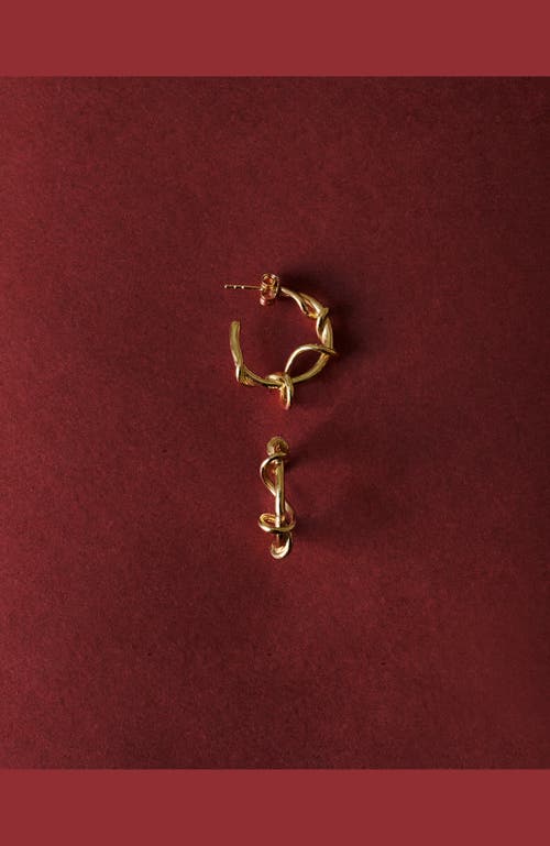 Enamel Copenhagen Capella Hoops In Gold