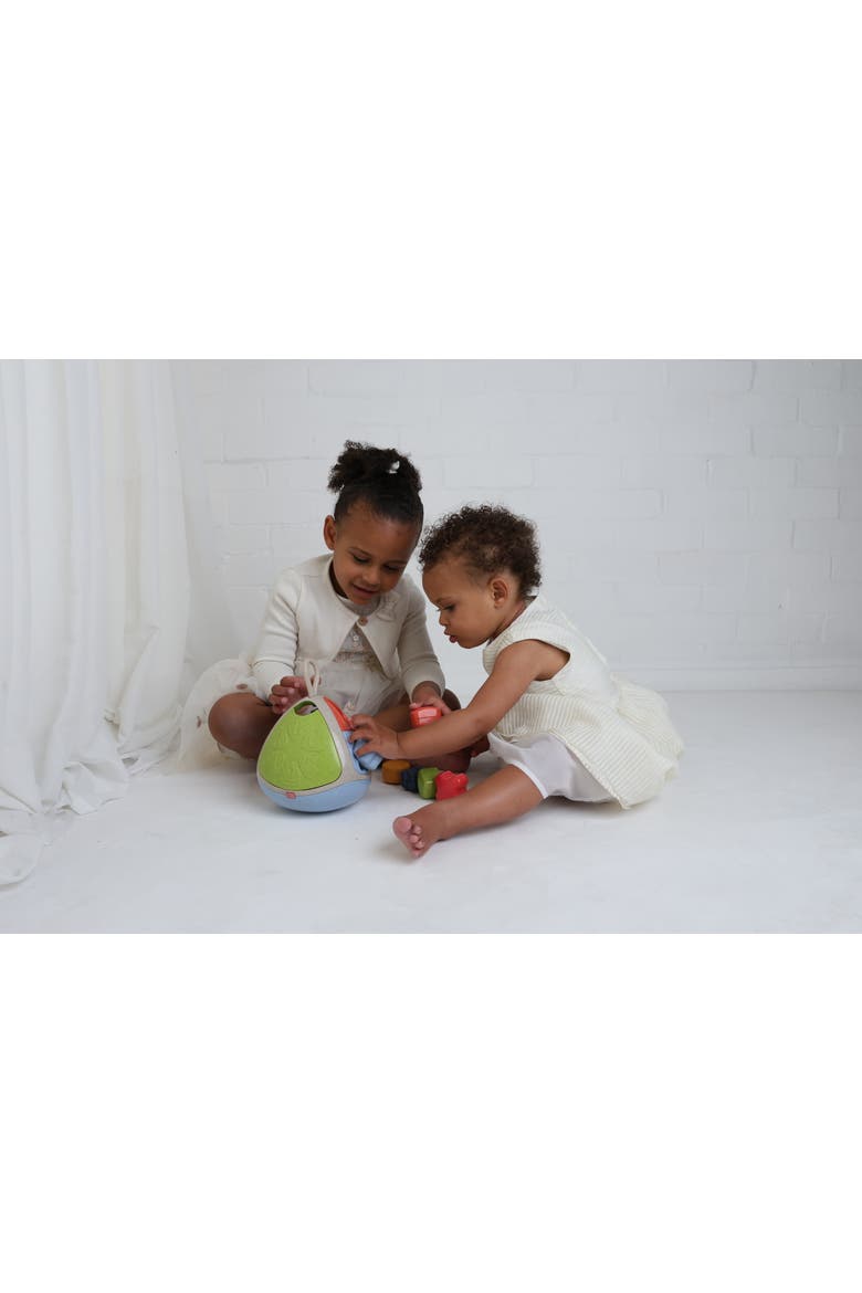 Bio Shape Sorter, Alternate, color, Multi