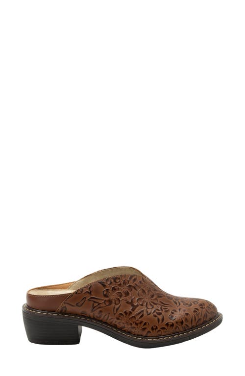 Alegria By Pg Lite Michy Mule