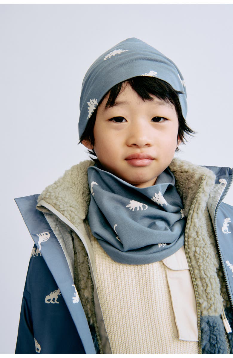 H&M 2-piece Beanie And Tube Scarf Set, Alternate, color, Dusty Blue/Dinosaurs