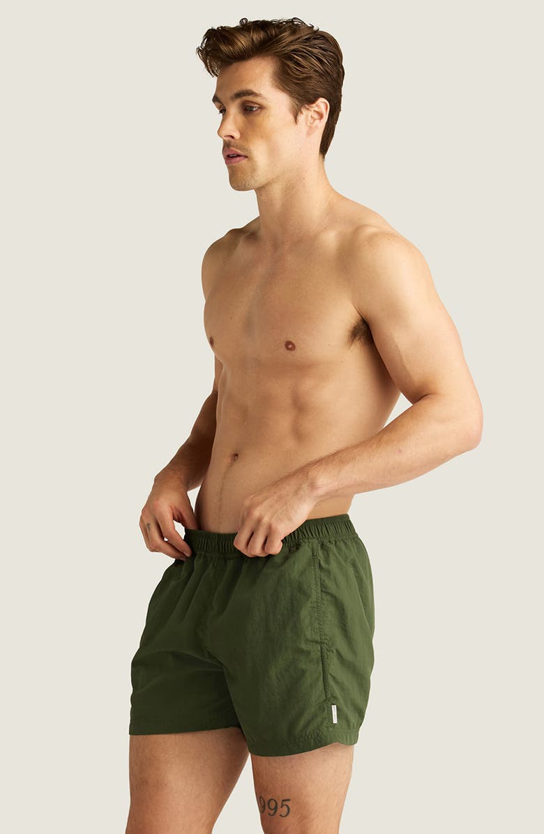 AUTO-REPLY<sup>™</sup> Sebastian Solid 4-Inch Nylon Swim Trunks, Alternate, color, Moss