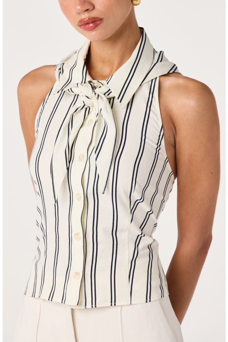 Adrianna Stripe Cotton Halter Top, Alternate, color, NAVY STRIPE