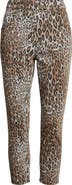 Hue Ultrasoft Leopard Cotton Blend Capri Leggings