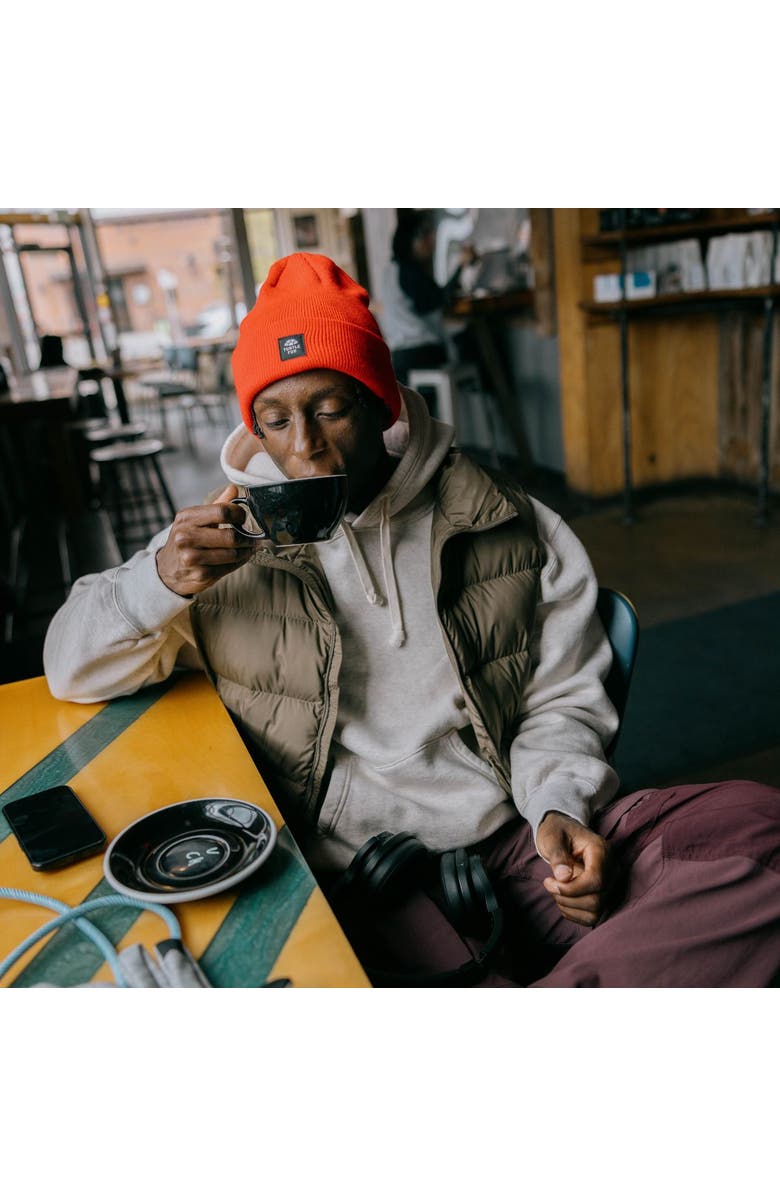 Turtle Fur Explorer Cuffed Beanie, Alternate, color, Charcoal