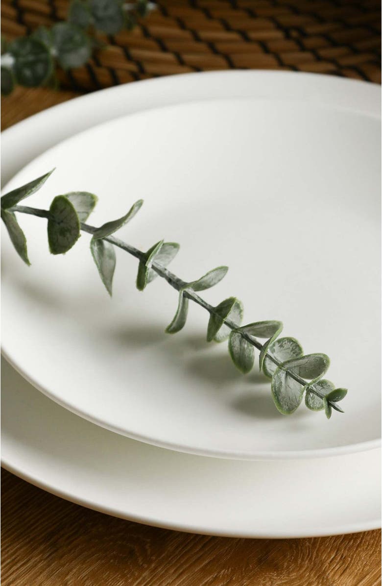 Stone Lain Taglio Bone China 12-Piece Dinnerware Set, Alternate, color, Matte White