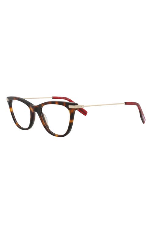 Alexander Mcqueen Mcqueen 47mm Cat Eye Optical Glasses In Havana Gold Transparent