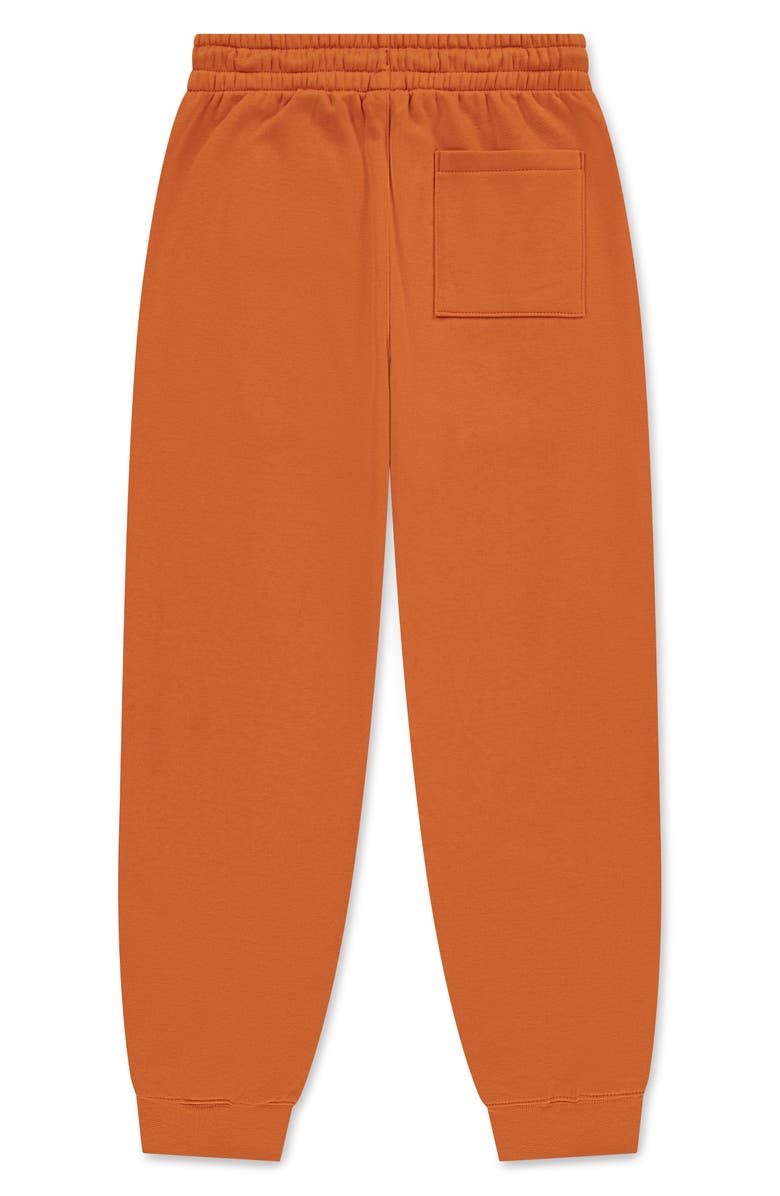 Jordan Kids' MJ Essentials Fleece Graphic Joggers, Alternate, color, Starfish