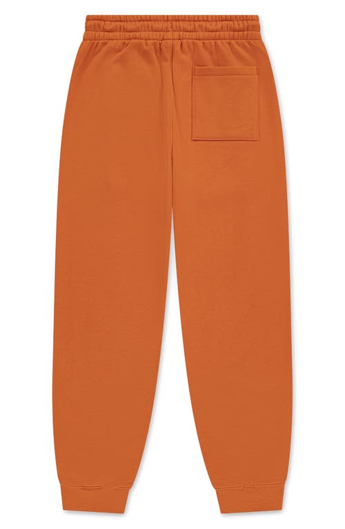 Jordan Kids' Mj Essentials Fleece Graphic Joggers In Brown