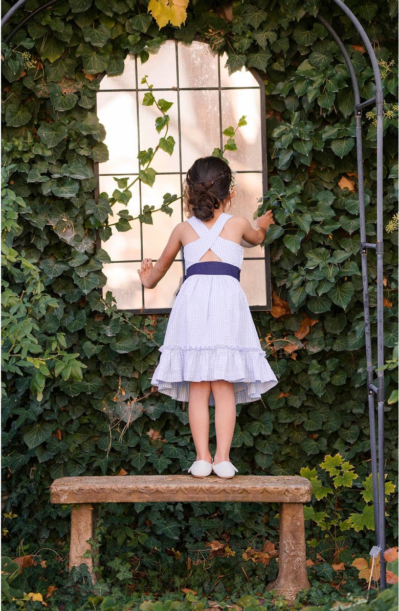 Hope & Henry Girls' Organic Cross Back Party Dress, Kids, Alternate, color,