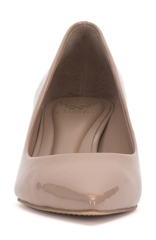 Vince Camuto Kehlia Pointed Toe Pump