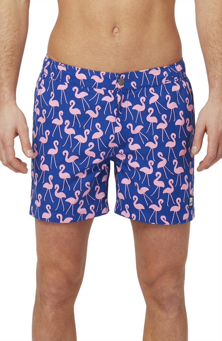 Tom & Teddy Flamingo Print Swim Trunks, Main, color,