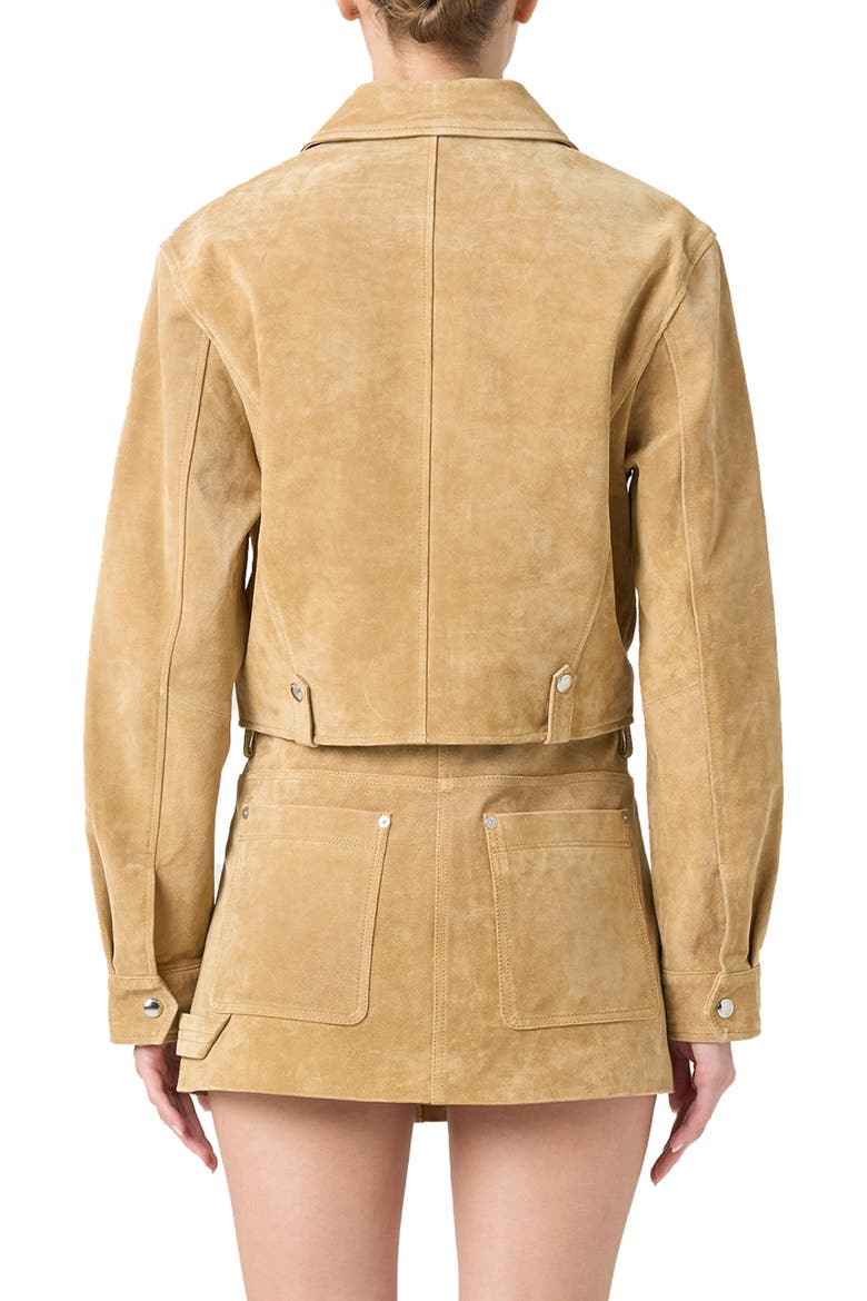 Crop Suede Jacket, Alternate, color, CINNAMON CRUNCH