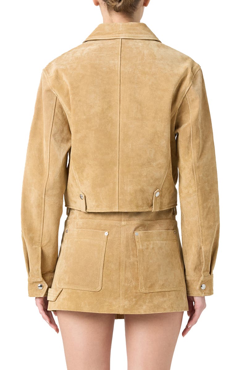 BLANKNYC Crop Suede Jacket, Alternate, color, Cinnamon Crunch