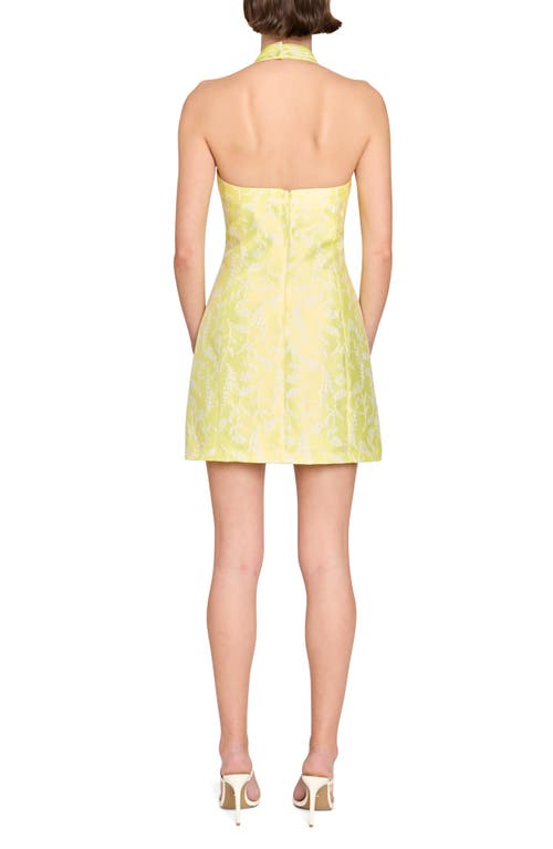 Amanda Uprichard Emalin Mini Dress In Yellow White