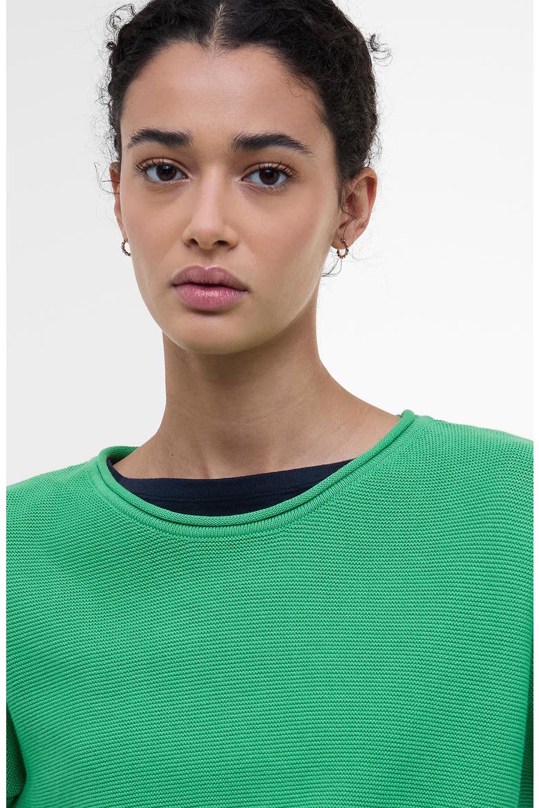 Marine Relaxed Fit Cotton Sweater, Alternate, color, KELLY GREEN