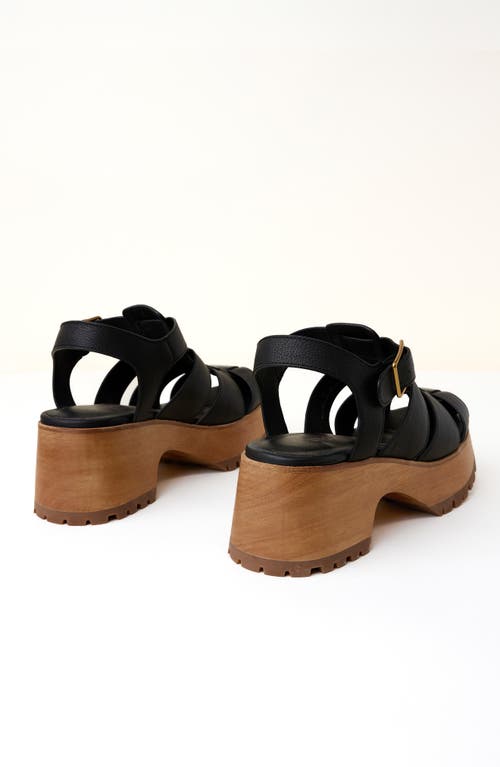 Charlotte Stone Roddy Platform Fisherman Clog Sandal In Black