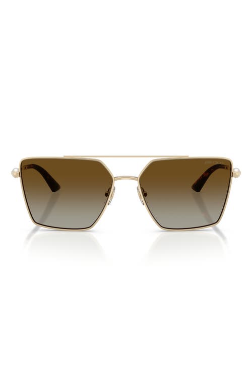 Jimmy Choo Joss 58mm Polarized Square Sunglasses In Brown