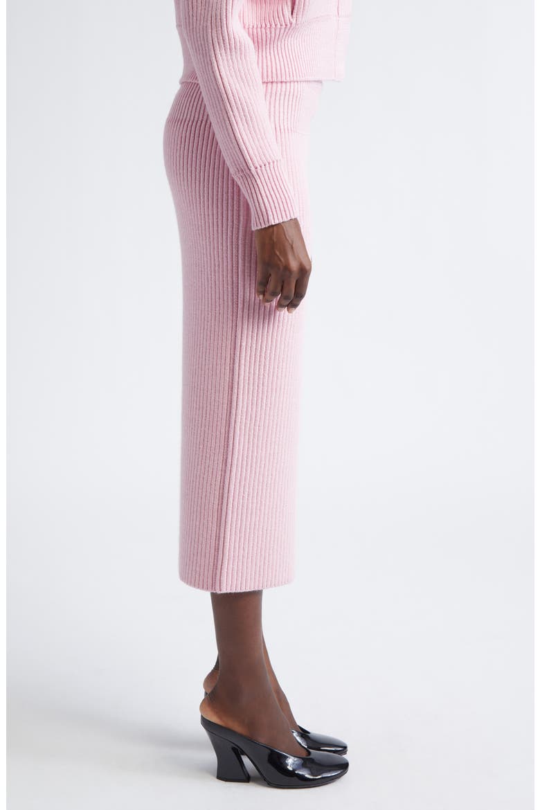 Wool & Alpaca Blend Rib Midi Skirt, Alternate, color, LIGHT PINK