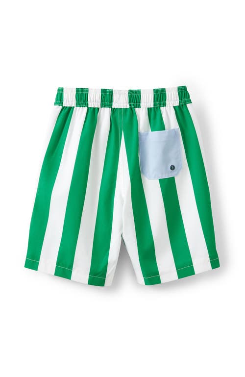 Shop Cotton On Kids Kid's Bobby Stretch Board Short In Island Green Vanilla