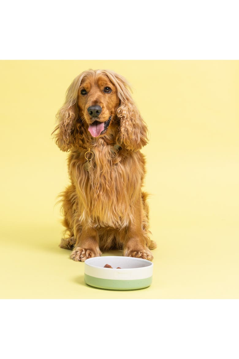 Speckle Dip Dog Bowl, 7 Inch, 28.7oz, Green, Cream, Alternate, color, Multicolored