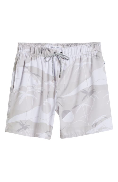 Shop Vintage Summer Volley Swim Trunks